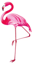 flamingo copy